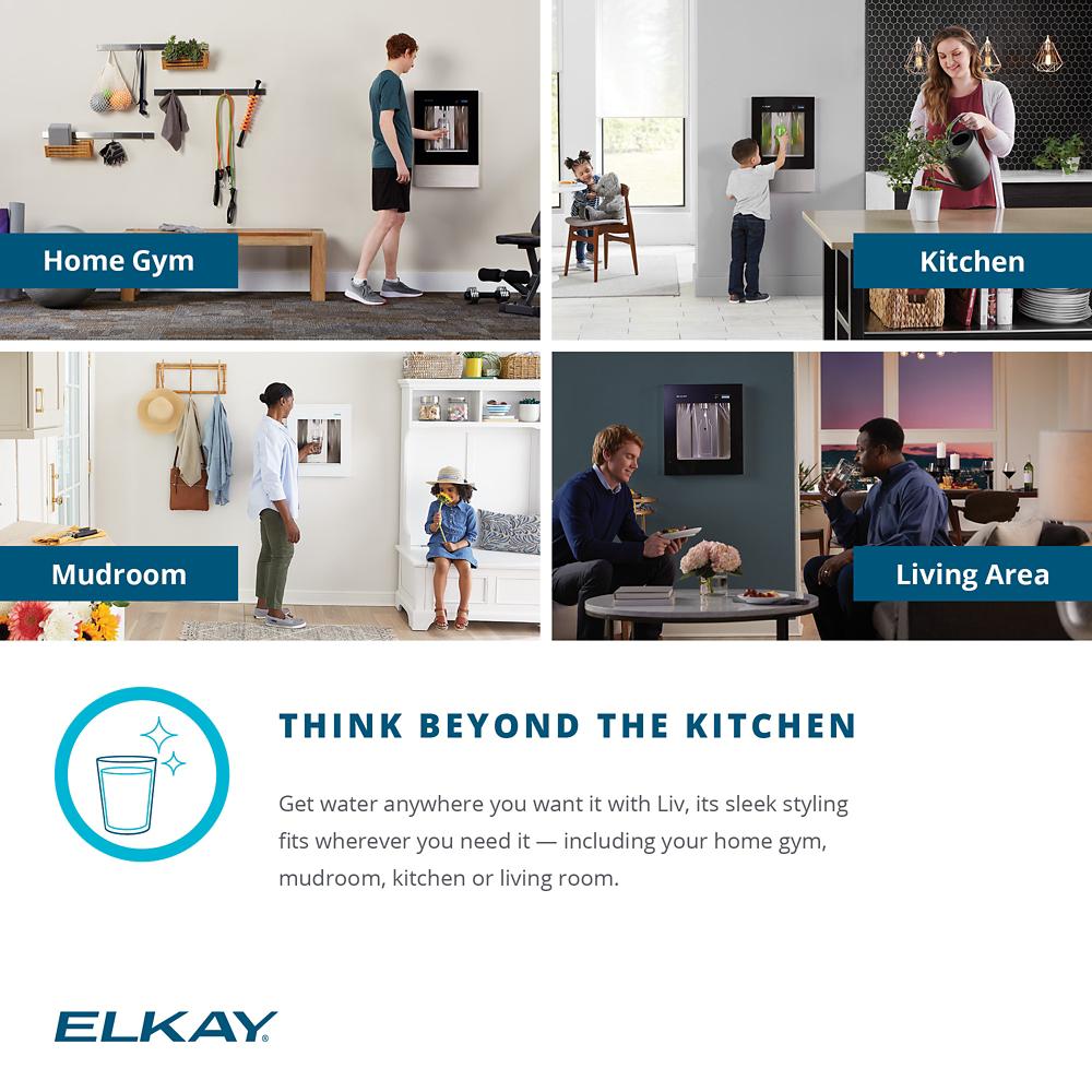 LBWD00WHC by Elkay - Elkay ezH2O Liv Built-in Filtered Water Dispenser  Non-refrigerated Aspen White